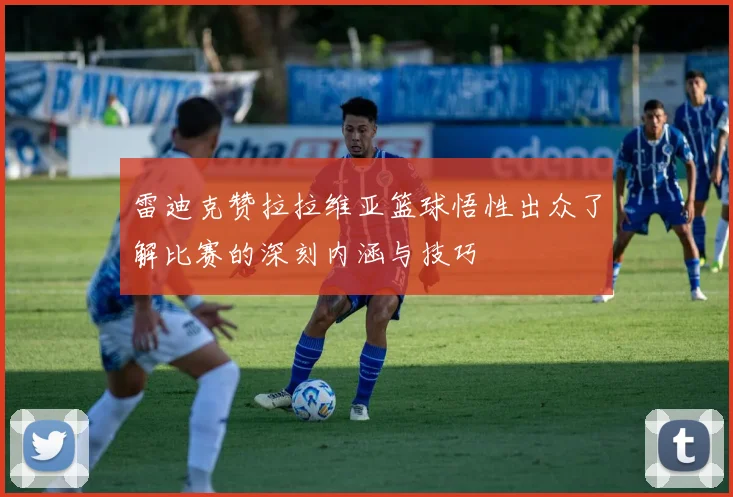 雷迪克赞拉拉维亚篮球悟性出众了解比赛的深刻内涵与技巧