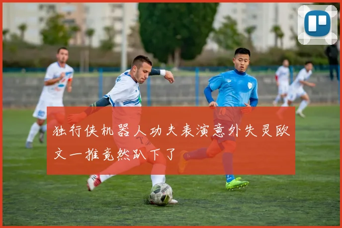 独行侠机器人功夫表演意外失灵欧文一推竟然趴下了