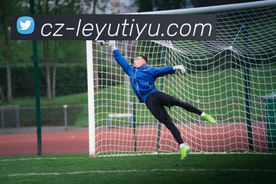 乐鱼体育品牌故事