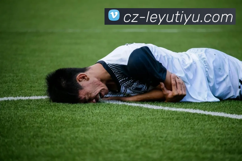 乐鱼体育服务体系